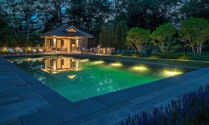 Meadow Lark Pool