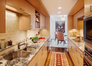 Mount Auburn kitchen